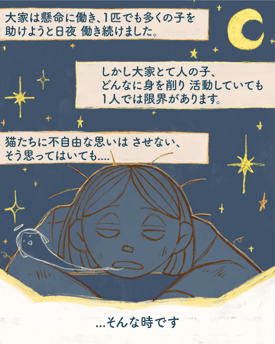 猫の幸せに繋がる袋のマンガ4