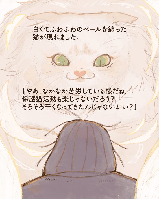 猫の幸せに繋がる袋のマンガ5