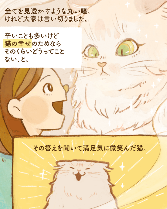 猫の幸せに繋がる袋のマンガ6