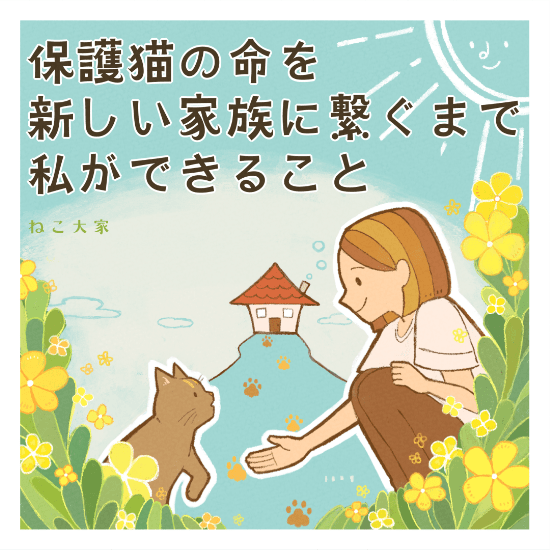 保護猫の命を新しい家族に繋ぐまで私ができることマンガ1