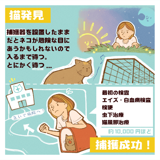 保護猫の命を新しい家族に繋ぐまで私ができることマンガ2