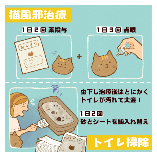 保護猫の命を新しい家族に繋ぐまで私ができることマンガ3