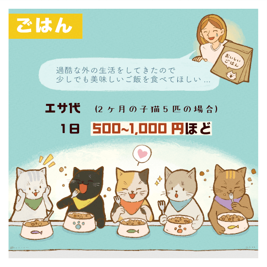 保護猫の命を新しい家族に繋ぐまで私ができることマンガ4