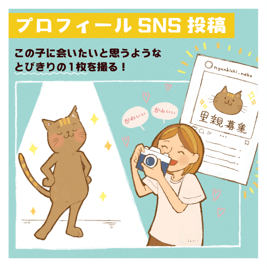 保護猫の命を新しい家族に繋ぐまで私ができることマンガ7