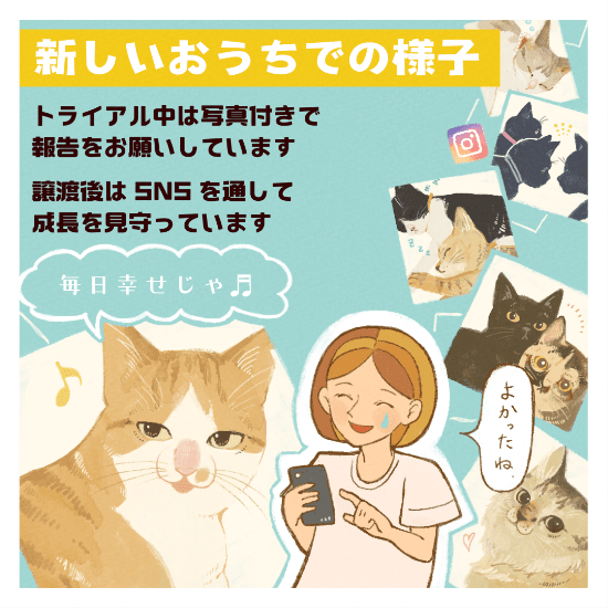 保護猫の命を新しい家族に繋ぐまで私ができることマンガ10