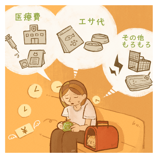 保護猫の譲渡の道のりマンガ3