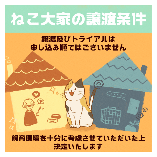 保護猫の譲渡の道のりマンガ5