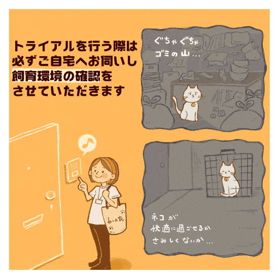 保護猫の譲渡の道のりマンガ6