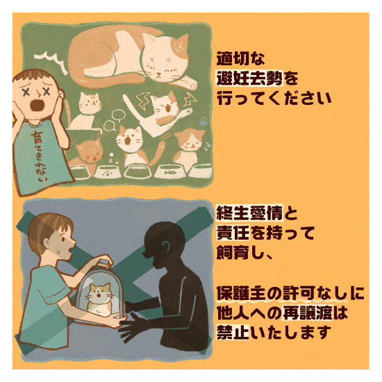 保護猫の譲渡の道のりマンガ8