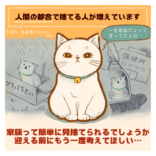 保護猫の譲渡の道のりマンガ10