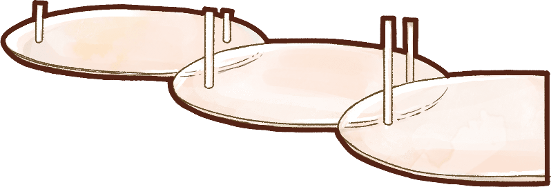 キャットウォーク